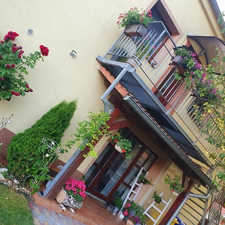 Ubytovani U Spacku Palava Novosedly  Extérieur photo