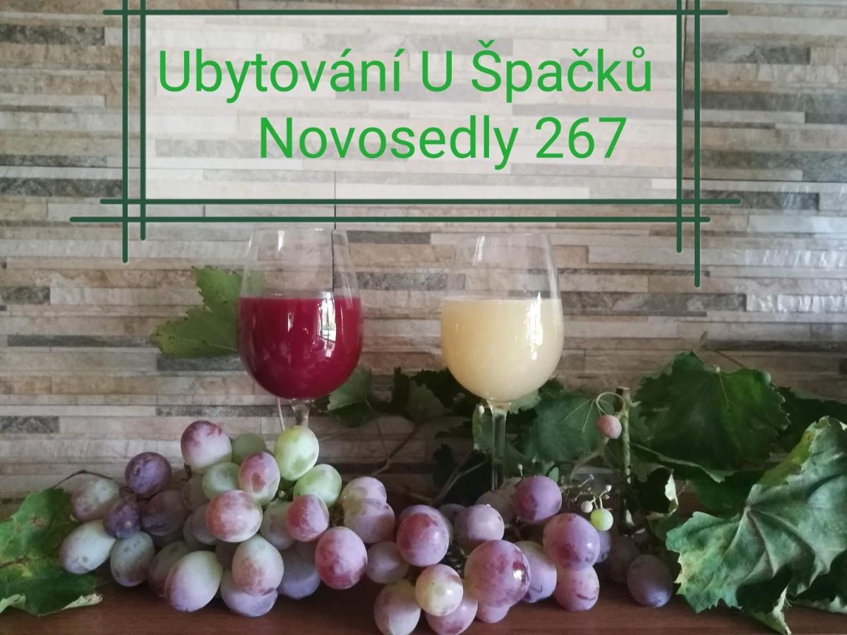 Ubytovani U Spacku Palava Novosedly  Extérieur photo