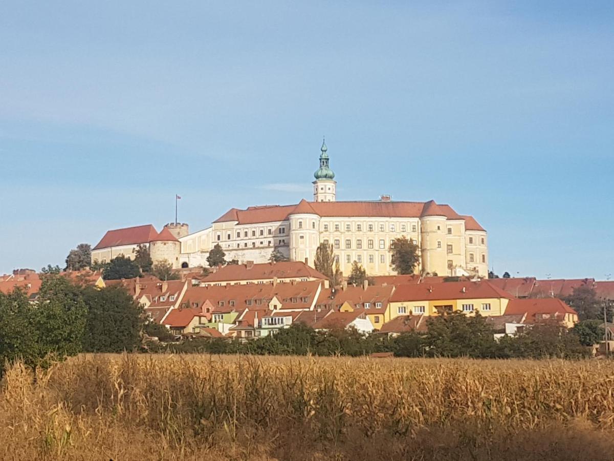 Ubytovani U Spacku Palava Novosedly  Extérieur photo