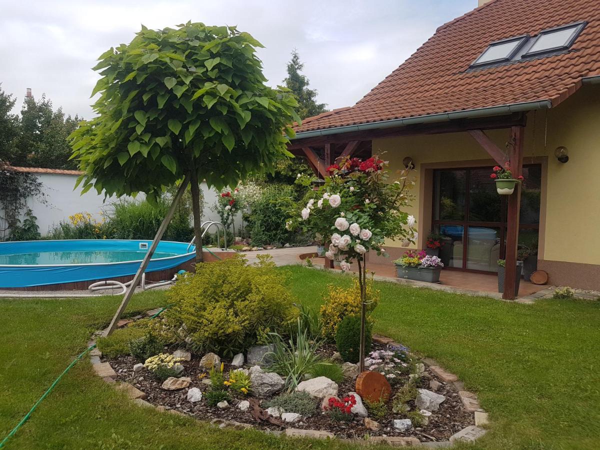 Ubytovani U Spacku Palava Novosedly  Extérieur photo