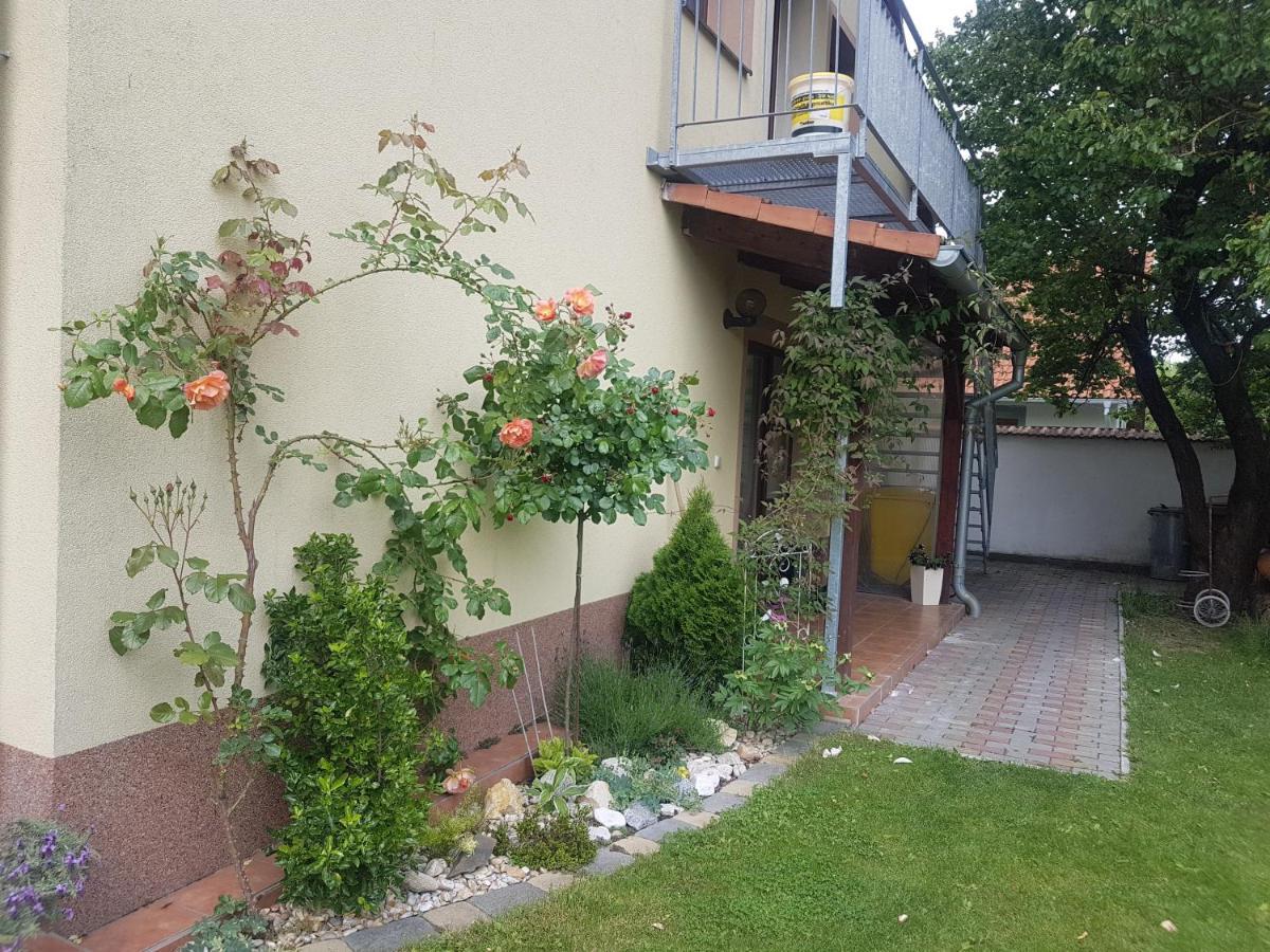 Ubytovani U Spacku Palava Novosedly  Extérieur photo
