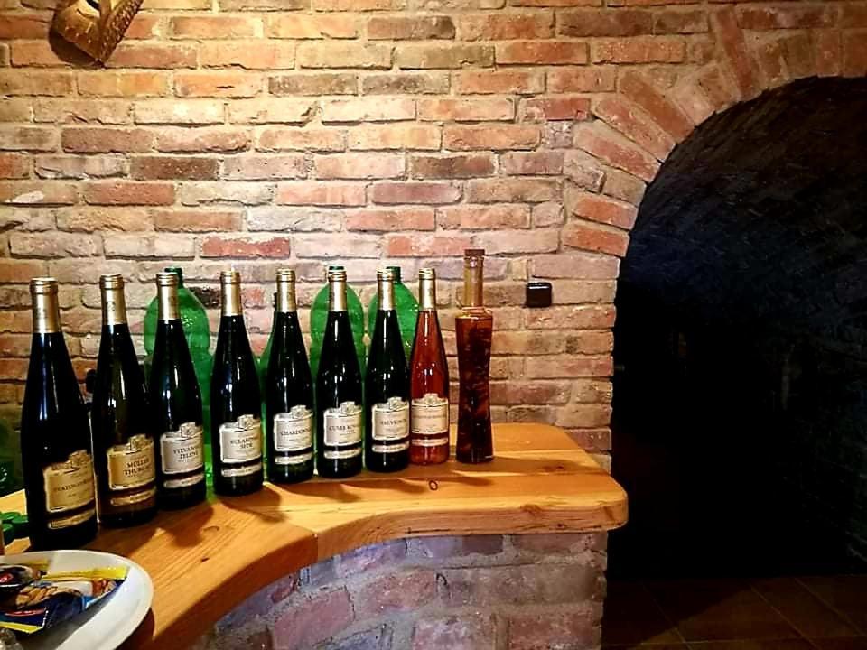 Ubytovani U Spacku Palava Novosedly  Extérieur photo