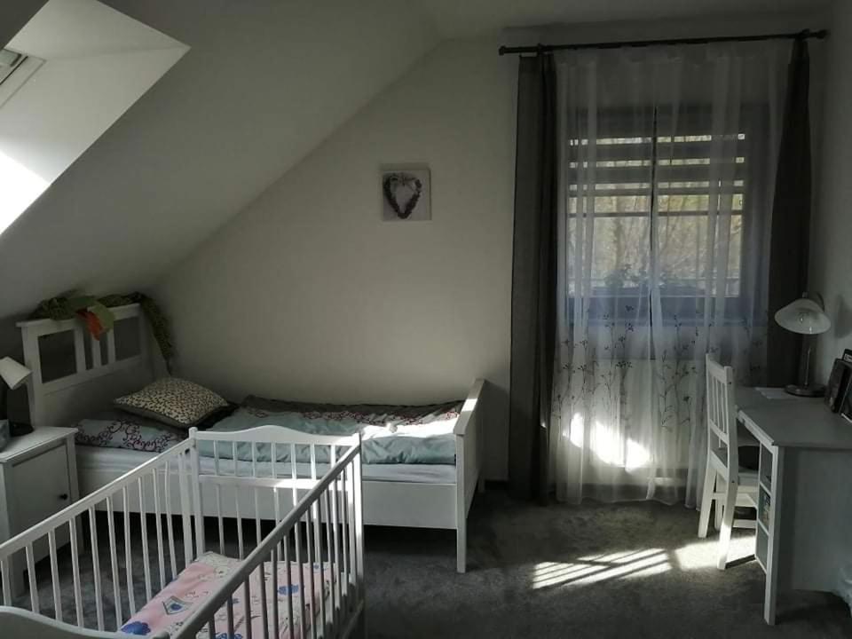 Ubytovani U Spacku Palava Novosedly  Extérieur photo
