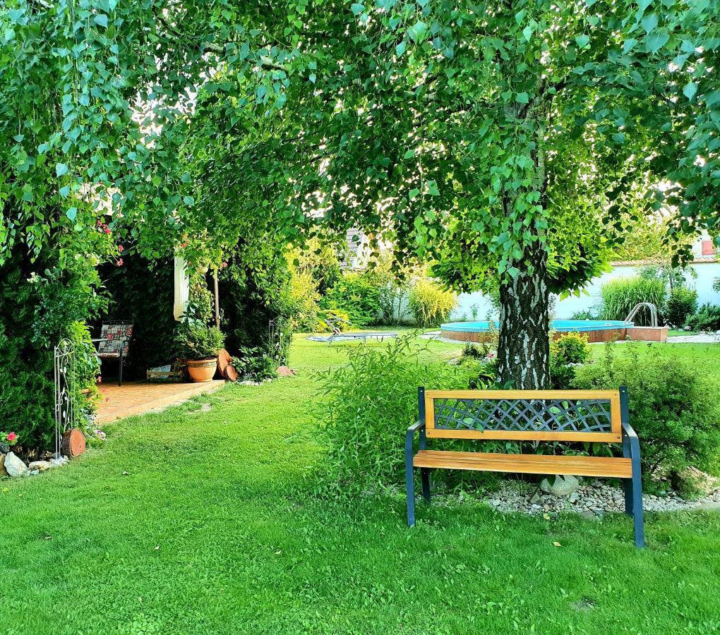 Ubytovani U Spacku Palava Novosedly  Extérieur photo